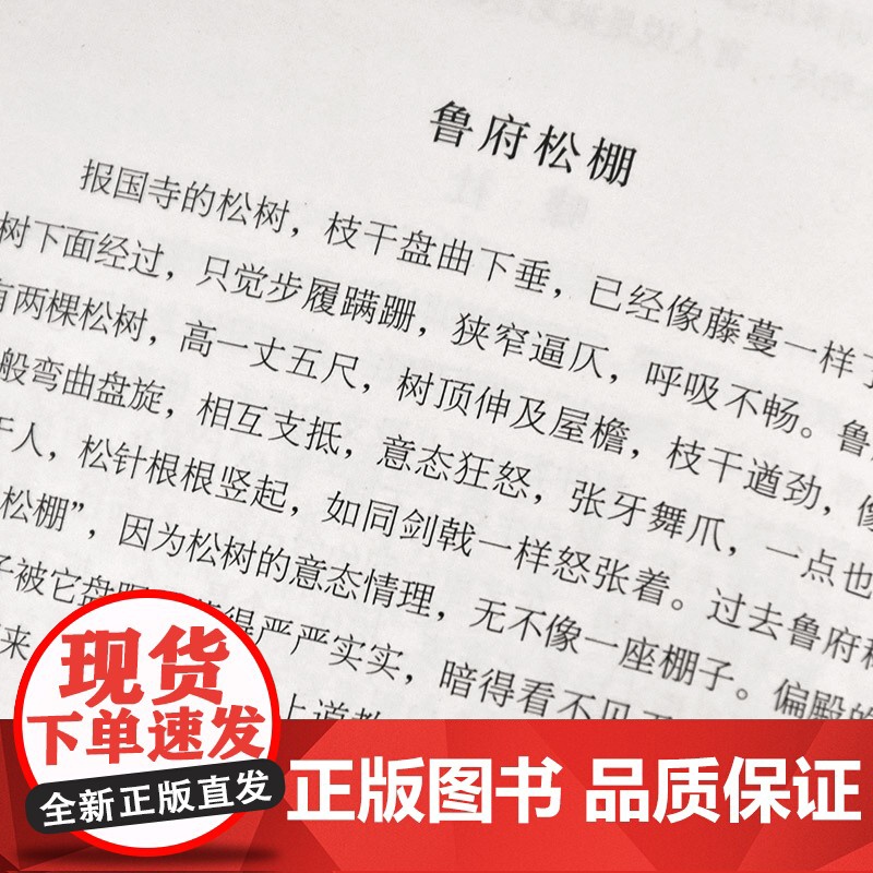 陶庵梦忆(小品雅集) 张岱 岳麓书社 正版书籍高清大图