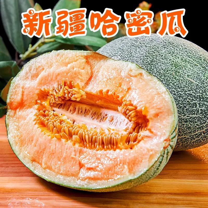 企采严选 哈密瓜1颗哈密瓜新鲜水果孕妇蜜瓜网纹瓜礼盒