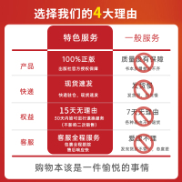 [正版]风云初记书 中小学生课外阅读儿童文学书籍 无障碍阅读 红色经典系列丛书 孙犁 著 吉林美术出版社