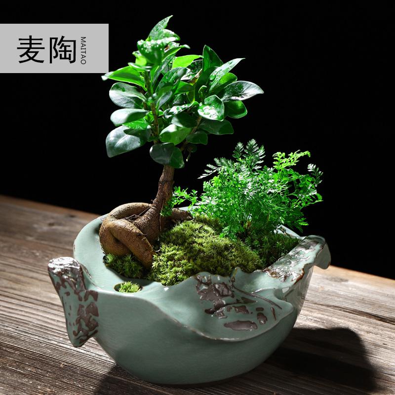 美帮汇创禅意新中式哥窑陶瓷花盆小叶榕树盆栽盆景家用办公室净化空气高清大图
