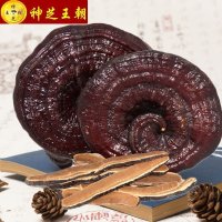 神芝王朝 灵芝切片250克 赤灵芝片 灵芝茶正品