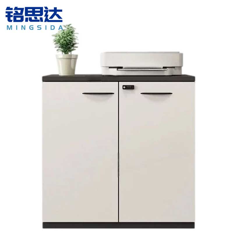 铭思达文件柜两门台高清大图