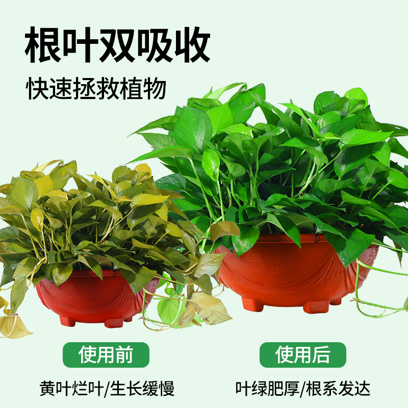 绿萝营养液肥料专用肥植物盆栽绿箩营业液花肥料家用土水培养花肥高清大图