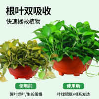 [补贴10%]绿萝营养液肥料专用肥植物盆栽绿箩营业液花肥料家用土水培养花用