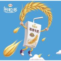 伊利 谷粒多核桃燕麦牛奶200ml*12盒 学生 早餐牛奶