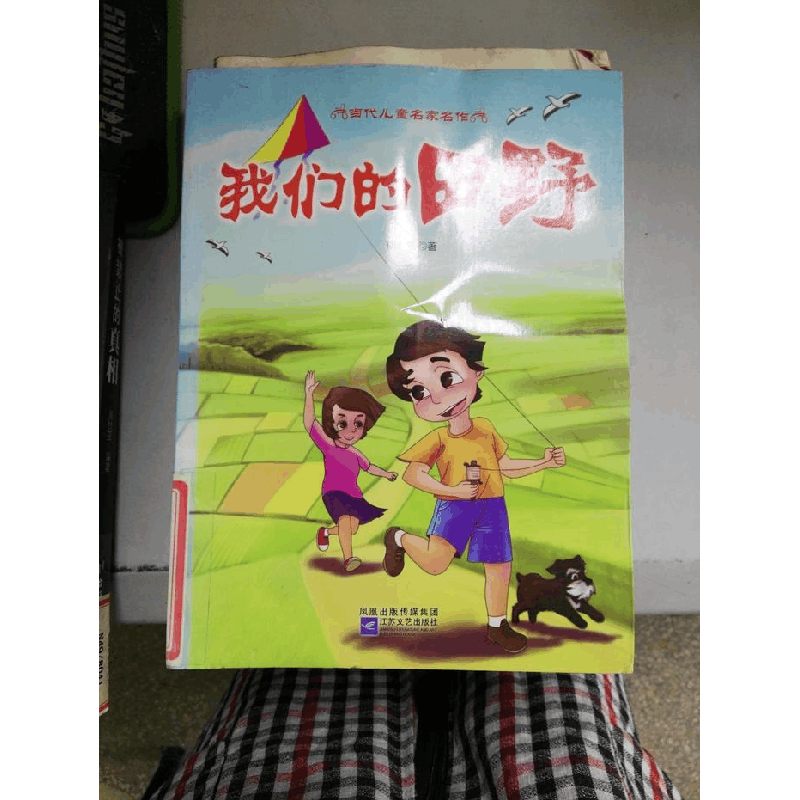 正版新书]当代儿童名家名作-我们的田野徐鲁9787539944166图片