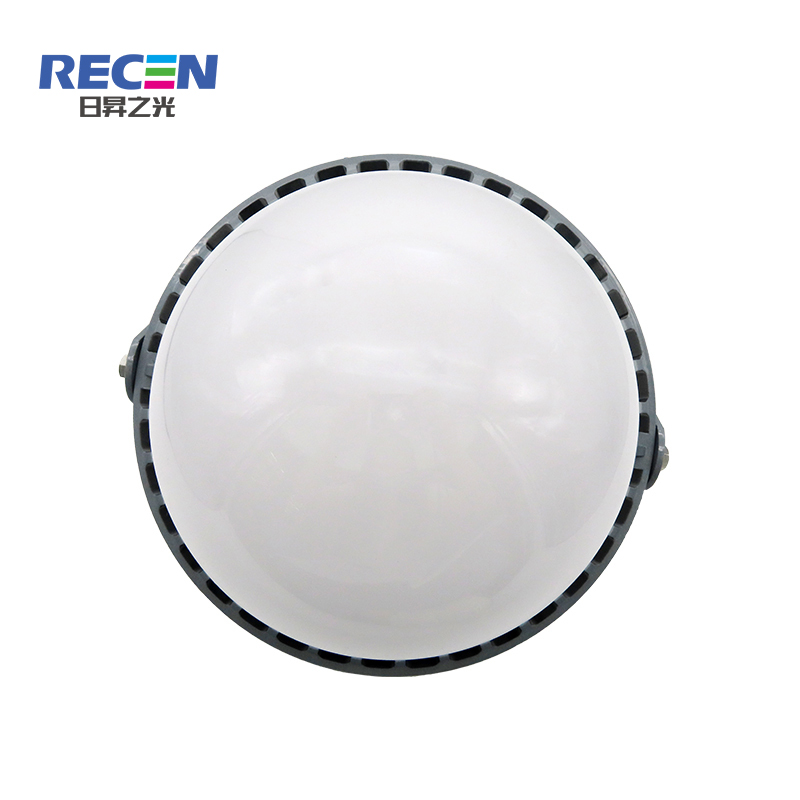RECEN RGPL229-100W 固定式LED灯具 个高清大图