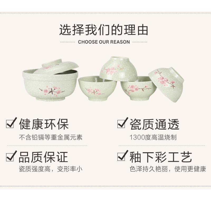PHMI 菲米 FM-TC501 米雪