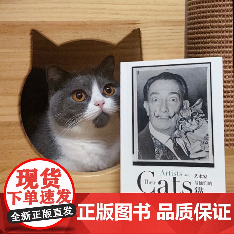 艺术家与他们的猫 (美)艾莉森·纳斯塔西 著 陈畅 译 折射集 摄影艺术 南京大学出版社高清大图