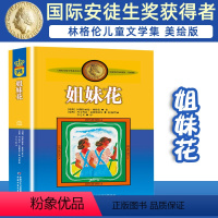 姐妹花 [正版]长袜子皮皮的故事非注音版中国少年儿童出版社小学生二三四年级课外书 阅读书目儿童文学作品林格伦作品集美绘版