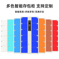 振奥 电子存包柜超市商场员工寄存柜红外条码指纹刷卡人脸识别储物柜12门