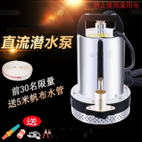 48V电瓶车直流潜水泵12V24V60V72V电动车抽水机高扬程抽水泵农用 一寸72V400W18米线不锈钢叶轮