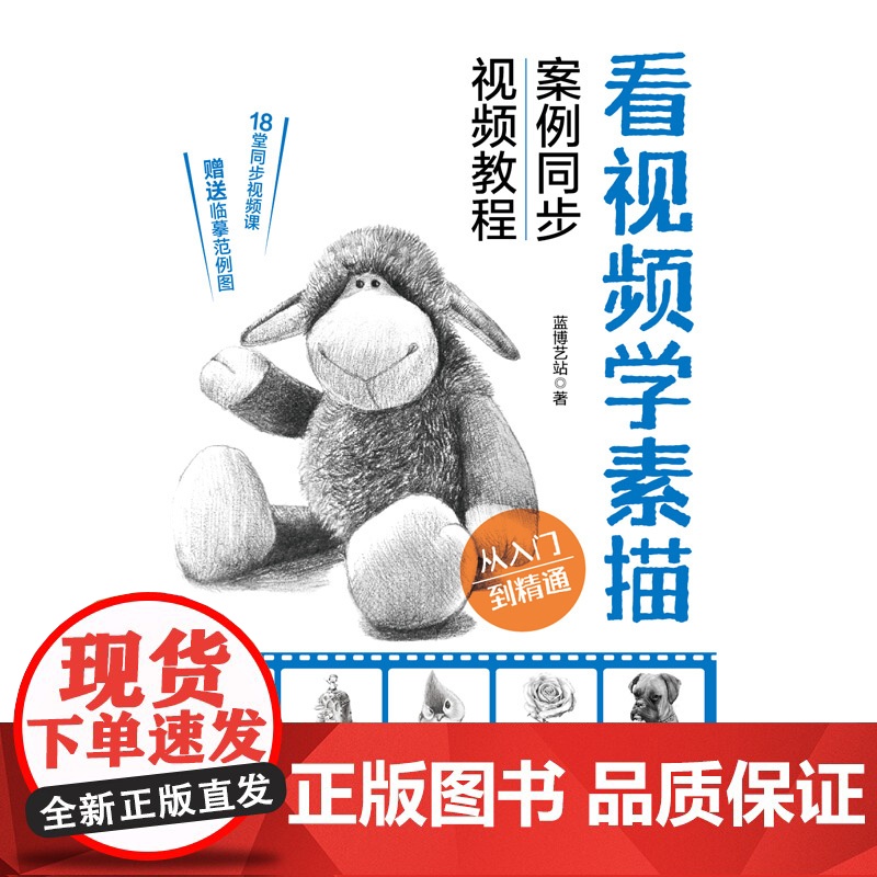 看视频学素描 从入门到精通高清大图