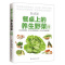 [正版]餐桌上的养生野菜速查全书家常菜谱健康养生野菜识别采摘指南分布形态特征食用方法药用功效大全田间野菜营养搭配百科图鉴