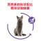 ROYAL CANIN 皇家猫粮 SA37绝育呵护成猫猫粮 全价粮 2kg 体重管理 泌尿系统健康 减肥猫粮