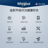惠而浦Whirlpool水龙头净水器家用厨房自来水过滤器LC304