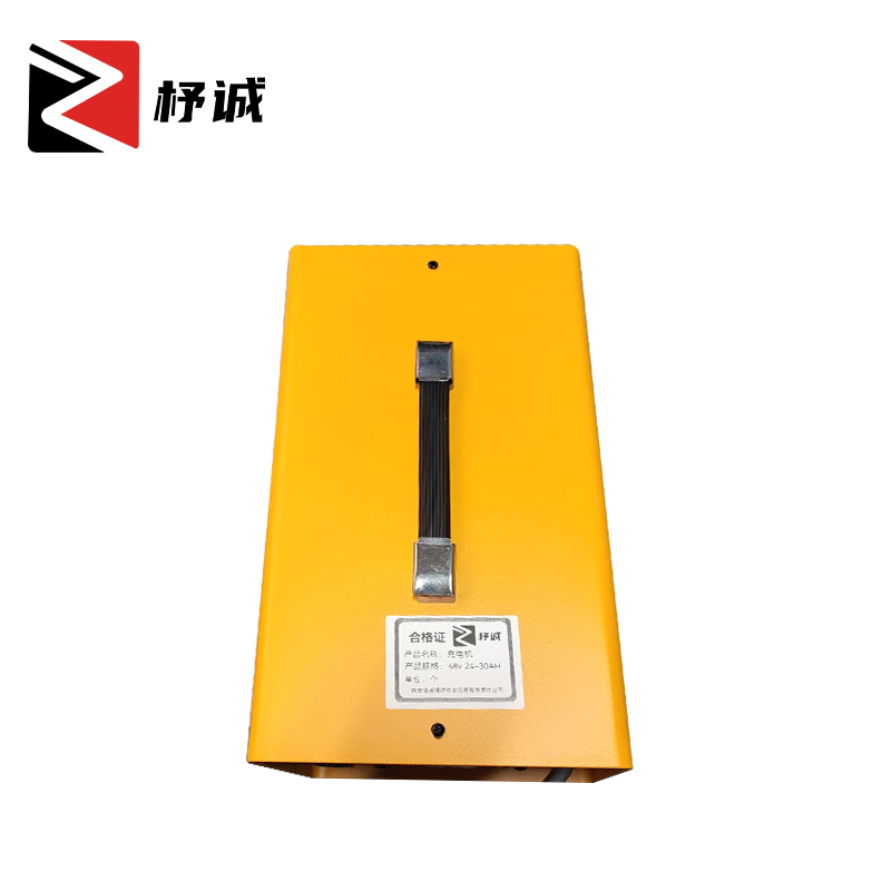 杼诚充电机48v 24-30AH/个
