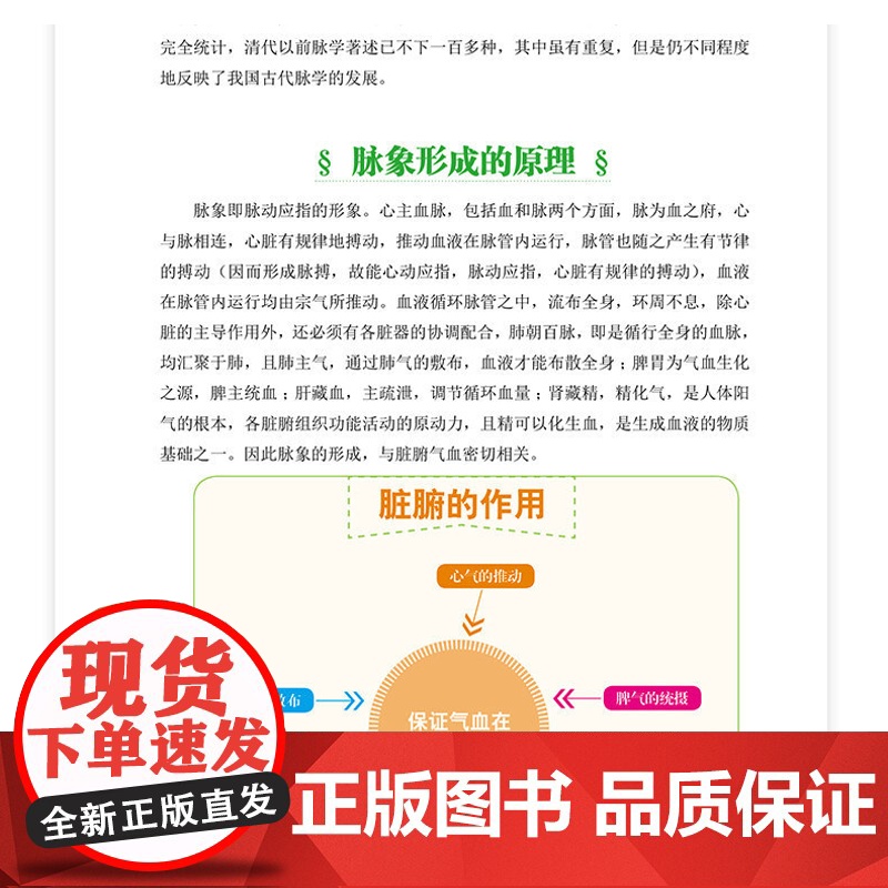 [2册]中医辨证诊病入门+中医脉诊入门与常见病辨治 脉诊把脉书中医辨证论治诊断学中医入门基础理论书籍中医药书籍高清大图