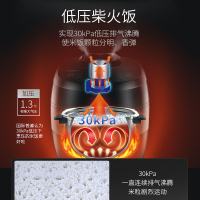 苏泊尔(SUPOR)电压力锅双阀鲜呼吸100 IH电磁加热5L/升双胆球釜智能 高压锅电饭锅SY-50HC5Q