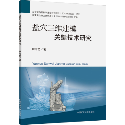 [M]盐穴三维建模关键技术研究 陶志勇 著 -9787564646110