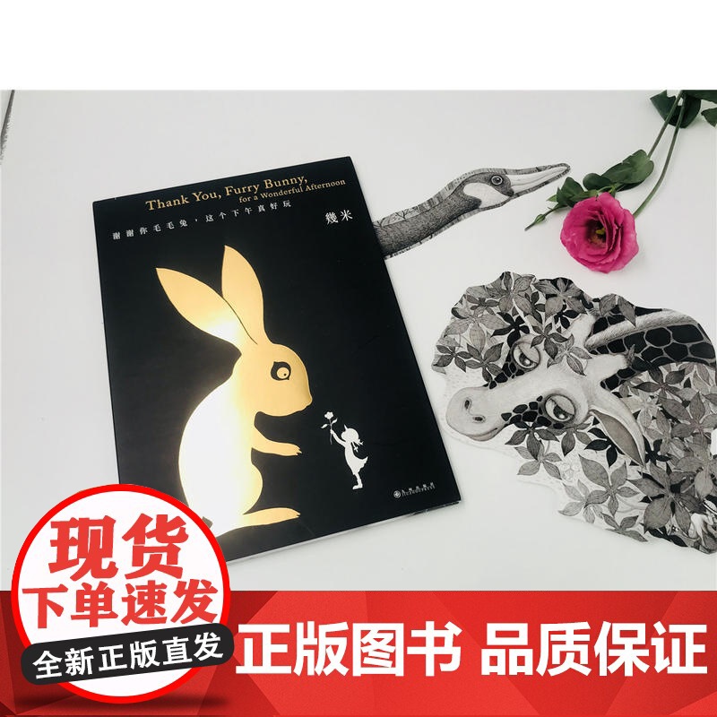 几米:谢谢你毛毛兔 幾米 九州出版社 正版书籍高清大图