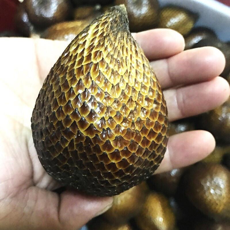 xj进口蛇皮果约1kg装新鲜水果可开发票