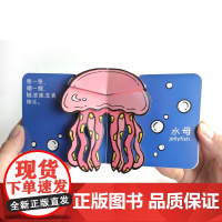 小手翻翻立体玩具书 动物篇(全4册) 幼呦童 绘 少儿 低幼启蒙 儿童文学 正版图书籍电子工业出版社