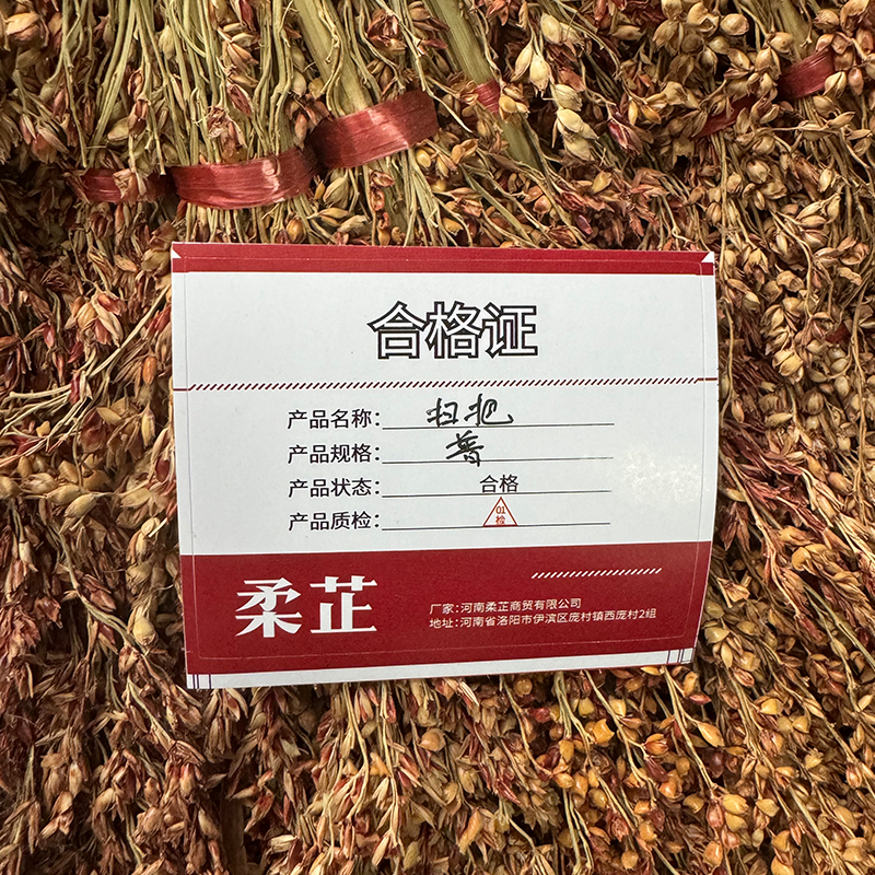 柔芷 扫把 普 个高清大图