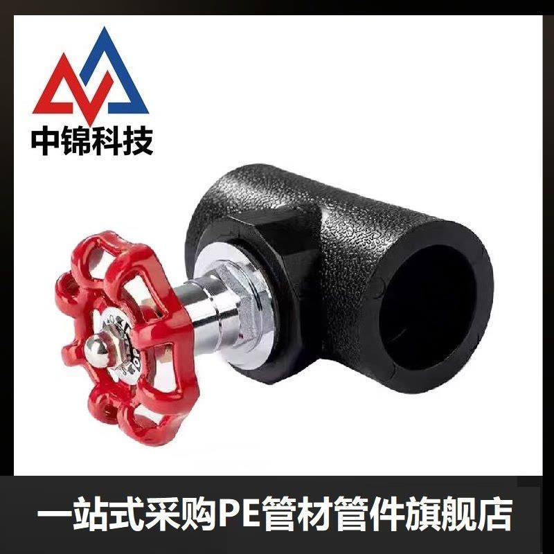 中锦科技 PE截止阀 PE25(6分)(承压1.6Mpa)个图片