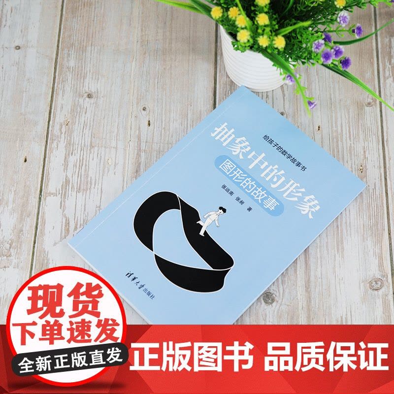 抽象中的形象:图形的故事(给孩子的数学故事书) 科学世界 清华大学出版社 正版书籍图片