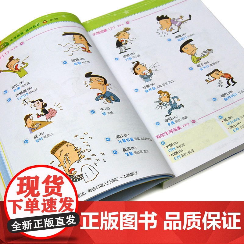 [ 正版]超图解韩语单词: 韩语口语入门词汇 一本就搞定高清大图