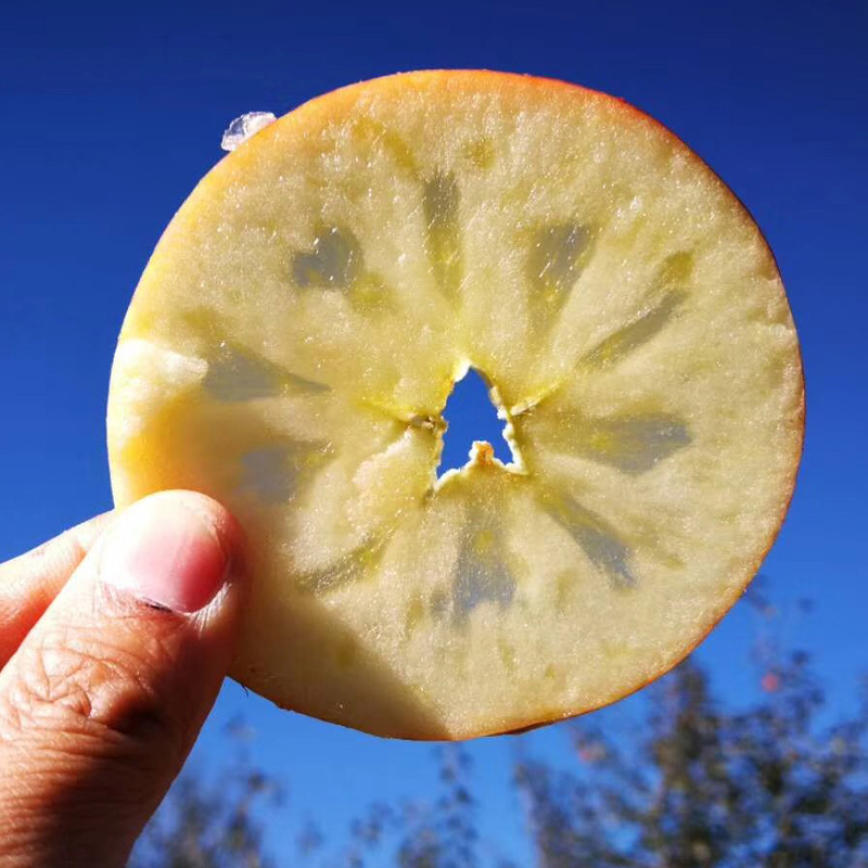 [熊猫鸟]四川凉山盐源丑苹果 净重5斤 特大果 12个左右 箱装 当季 新鲜水果高清大图