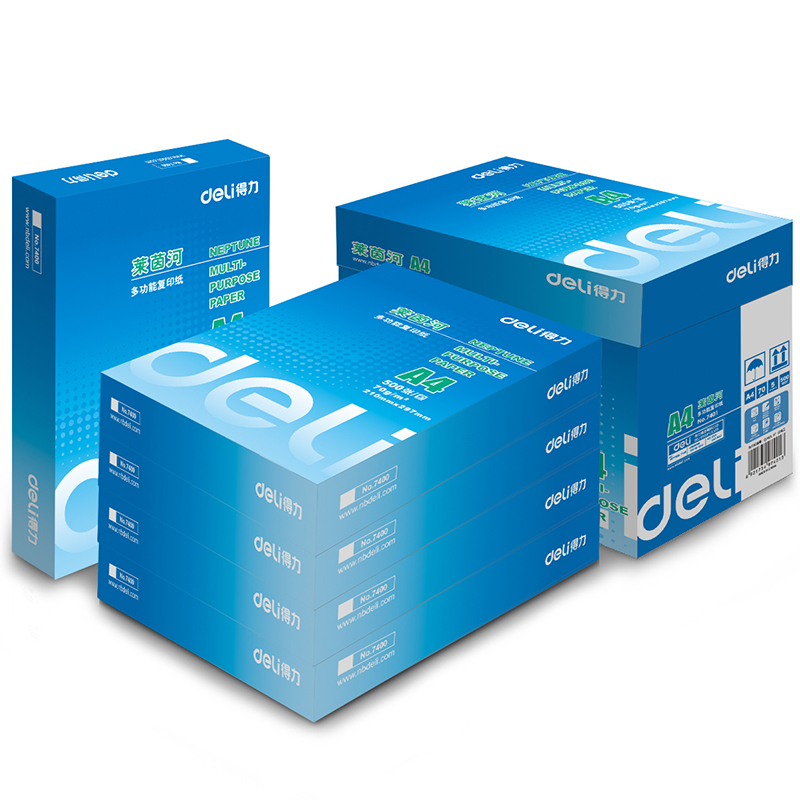 得力deli7401莱茵河a4打印白纸70g复印纸办公用纸a4纸整箱5包批发包邮