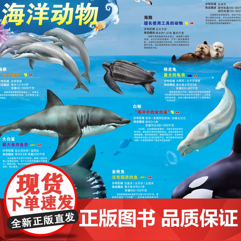 史前+海洋动物地图 墙贴儿童房专用超大挂图大尺寸高清远古恐龙书儿童科普百科全书启蒙高清大图