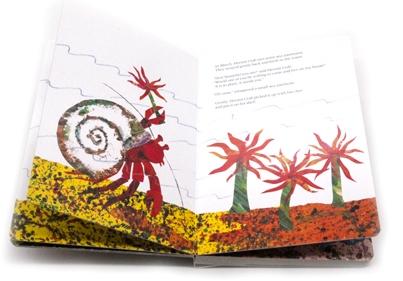 [正版]寄居蟹的家 A House for Hermit Crab 英文原版绘本 卡尔爷爷 艾瑞卡尔Eric Cral高清大图