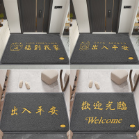 入户门地垫出入平安门垫进门家用丝圈脚垫大门口玄关地毯防滑垫子