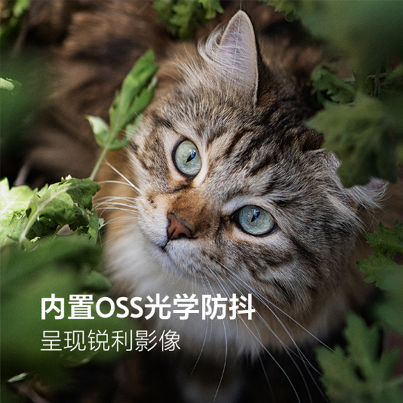 索尼(SONY) E 50mm F1.8 OSS APS-C半画幅相机标准定焦微单相机镜头(SEL50F18CN2 )