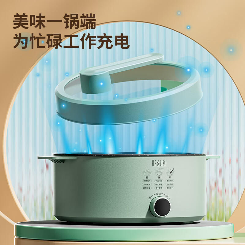 H.P홈파워 天府一品多功能电热锅 HP-007高清大图