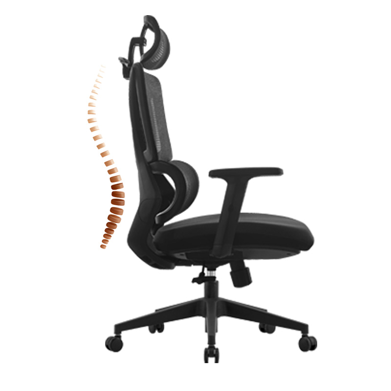 臻远 ZY-8939 办公椅人体工学椅转椅 定型棉黑框 单位:把高清大图