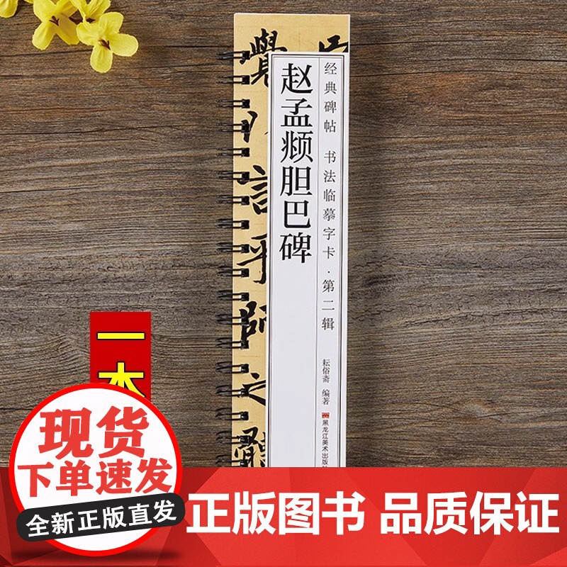 赵孟頫胆巴碑 原帖楷书毛笔书法字帖经典碑帖临摹字卡赵孟俯赵体近距离对临入门附简体旁注高清大图