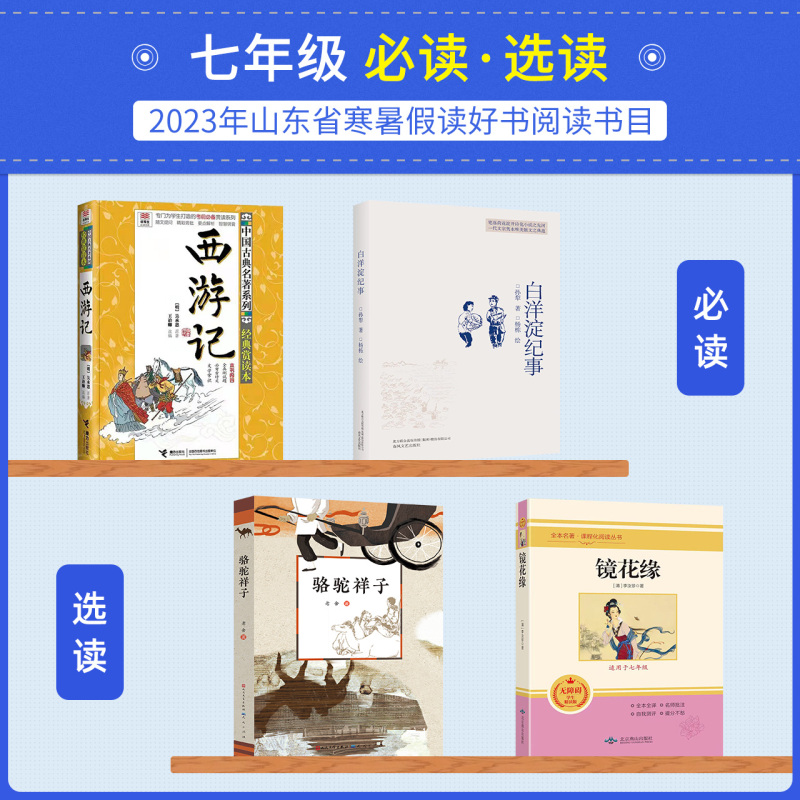 必读选读[全套] 九年级/初中三年级 [正版]2023山东省寒暑假读好书阅读活动书目七八九年级全套白洋淀纪事西游记寂静的
