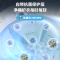 美的(Midea)波轮洗衣机全自动家用 8公斤升级一级能效抗菌除螨专利免清洗家电国家补贴 MB80V37T