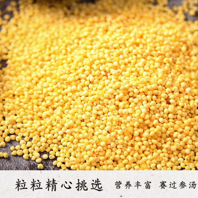 北纬49东北有机大黄米糯黄米2021年新米豆包黄米糜子米年糕400克 有机大黄米400克2袋