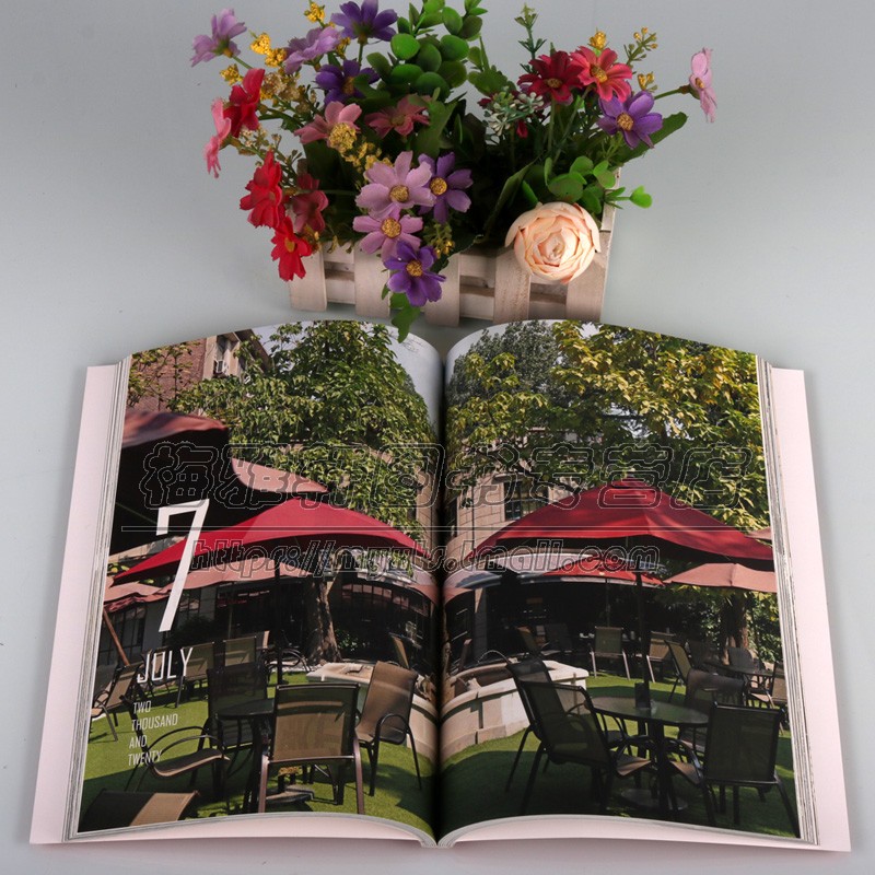 [醉染正版]致敬2020 天津城市景观丛书历史文化名城景物摄影集光线构图城市规划景观建设与历史人文研究结合系列图文书籍高清大图