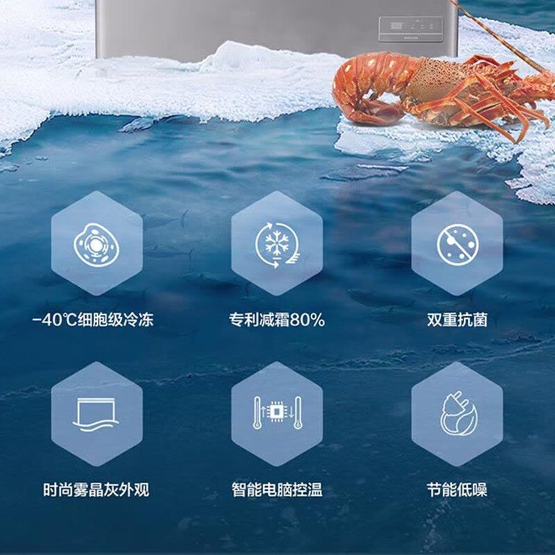 [无需除霜]海尔冰柜家用小型冷柜一级能效冷藏冷冻转换保鲜柜速冻柜节能小冰箱 [新品]-40℃电脑控温钢板内胆200L图片