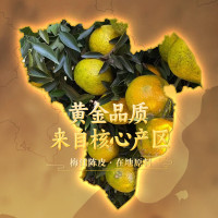 懂润2010年新会陈皮250克金版礼盒装2010DR250G（金）
