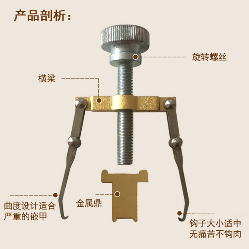(专业解决指甲扎肉里)甲沟炎矫正器嵌甲矫正器修脚工具指甲矫正 嵌甲矫正器1个(无铁盒装)