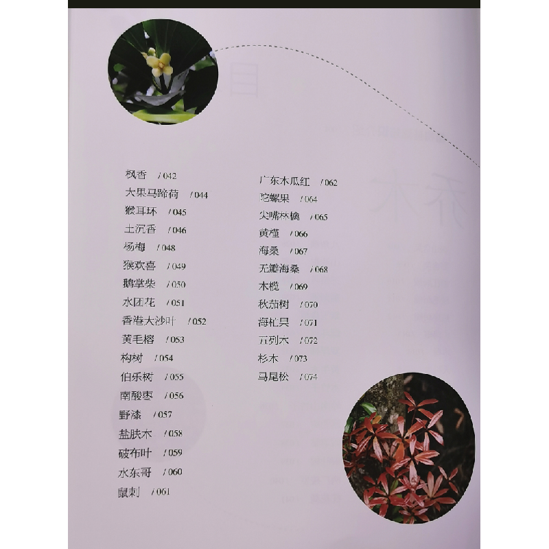 醉染图书草木南粵(山野篇)9787535972859高清大图