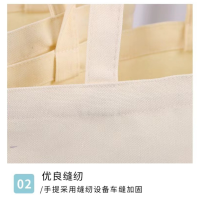 雷福峰 帆布包高级感小拎包30*35/个(支持定制图案)