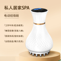 德国康仕坦脉冲按摩器加热防水刷头全身按摩器按摩仪经络刷豪华款